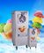 Keras Ice Cream Lantai Commercial Kulkas Freezer Dengan 2 Tank