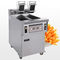 13 * 2L Electric 2-Tank Fryer / Komersial Peralatan Dapur Dengan Oil Filter Sistem